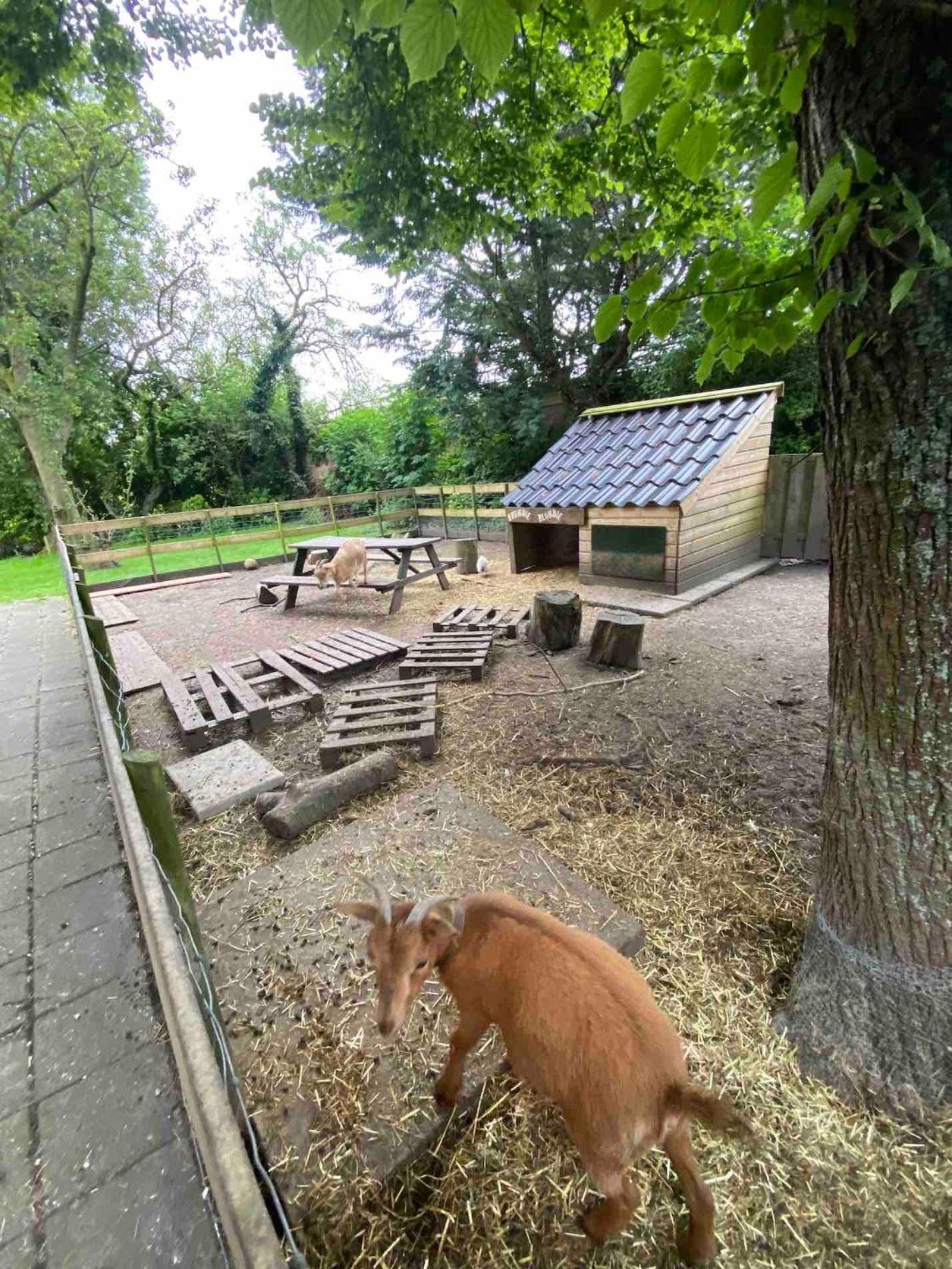 La Luna - Denise Heerhugowaard Exterior photo